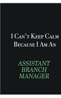I cant Keep Calm because I am an Assistant Branch Manager: Writing careers journals and notebook. A way towards enhancement