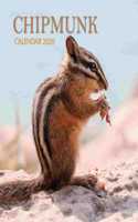 Chipmunk Calendar 2020: 16 Month Calendar