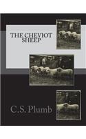 The Cheviot Sheep