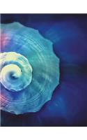 Shell Notebook Large Size 8.5 x 11 Ruled 150 Pages