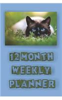 12 Month Weekly Planner: 1 Year Daily Monthly Planner, Undated Start Anytime, Siamese Cat Sitting in Grass