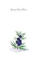 Juniper Berry Notes: 6"x9" Unruled Blank Notebook - Watercolor Texture Nature Fruit Illustration Cover. Matte Softcover And White Interior Papers.