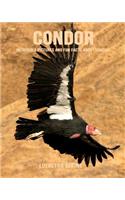 Condor