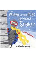 Where Do the Bugs Go When it Snows?