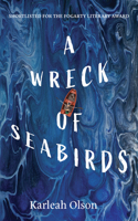 Wreck of Seabirds