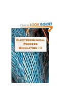 Simulation of Electrochemical Processes