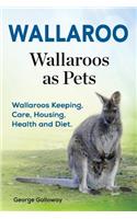 Wallaroo. Wallaroos as pets. Wallaroos Keeping, Care, Housing, Health and Diet.