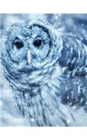 Owl Notebook: Snow Bird 8.5 X 11 202 College Ruled Pages