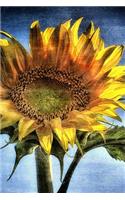 Sunflower Grunge - Blank Notebook: 101 Pages, 6 x 9 Journal, Soft Cover
