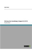 Heilung eines Aussätzigen, Exeges Lk 5,12-16