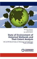 State of Environment of Historical Wetlands and Their Extent Analysis