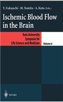 Ischemic Blood Flow in the Brain