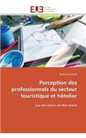Perception Des Professionnels Du Secteur Touristique Et H�telier