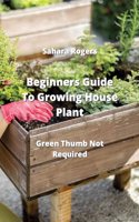 Beginners Guide To Growing House Plants