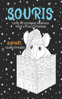 Livre de coloriage Mandala pour stylos et crayons - Lignes épaisses - Animal - Souris