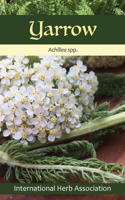 Yarrow