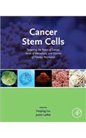 Cancer Stem Cells