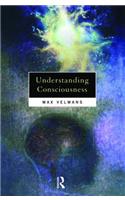Understanding Consciousness