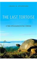 Last Tortoise