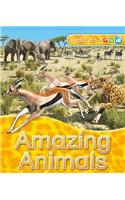 Explorers: Amazing Animals