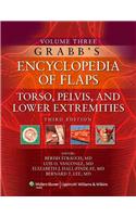 Grabb's Encyclopedia of Flaps