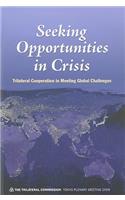 Seeking Opportunities in Crisis