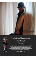 Credit Risk Management - The Novel