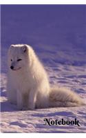 Cute And Cuddly Arctic Wolf Notebook