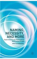 Naming, Necessity and More