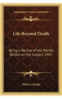 Life Beyond Death