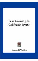 Pear Growing In California (1918)