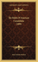 The Habits Of American Cicindelidae (1899)