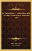 On The Inhibition By Artificial Section Of The Normal Fission Plane In Stenostoma (1900)