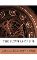 Flowers of Life