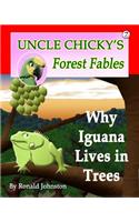 Why Iguana Lives in Trees