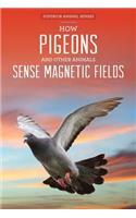 How Pigeons and Other Animals Sense Magnetic Fields