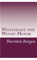 Whitefoot the Wood Mouse