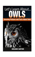 Owls: Amazing Pictures and Facts about Owls