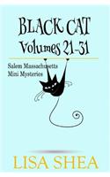 Black Cat Vols. 21-31 - The Salem Massachusetts Mini Mysteries