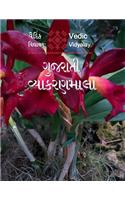 Gujarati Simple Grammar - vyakaranamala