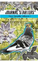 Journal Starters