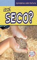 ¿Está Seco? (What Is Dry?): (Aprendemos Sobre Texturas (Let's Learn Textures!))
