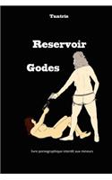 Reservoir Godes