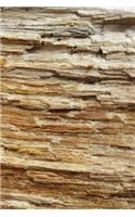 Journal Split Wood Face: (Notebook, Diary, Blank Book)