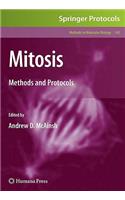 Mitosis