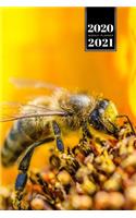 Bee Insects Beekeeping Beekeeper Week Planner Weekly Organizer Calendar 2020 / 2021 - Full of Pollen
