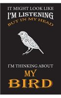 I'm Thinking About My Bird