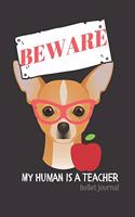 BEWARE My Human is a Teacher