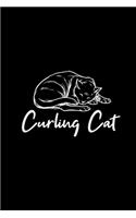 Curling cat