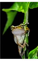 Green Tree Frog Clutching a Branch Journal: Take Notes, Write Down Memories in this 150 Page Lined Journal